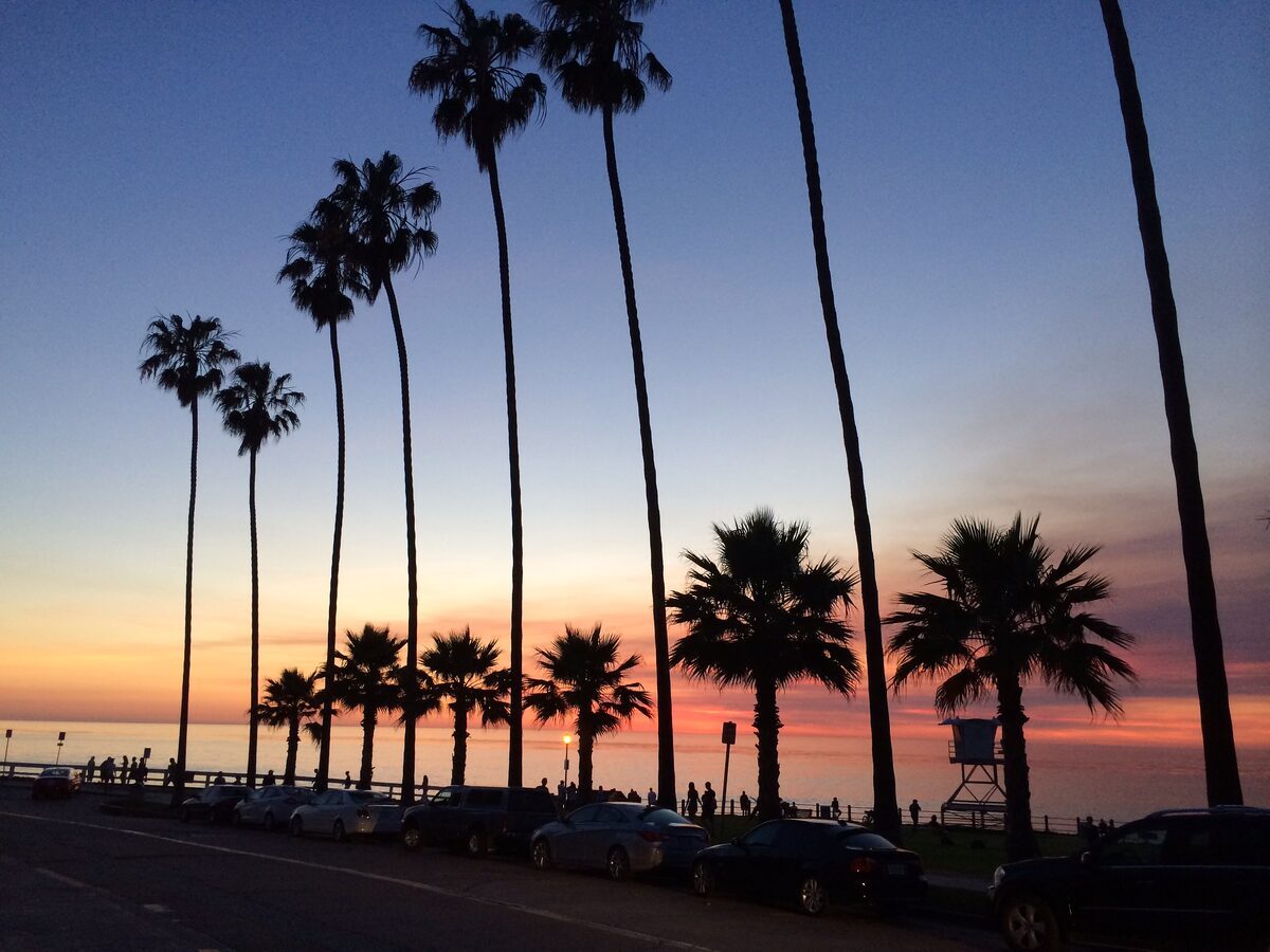 Sonnenuntergang mit Palmen am Pazifik in San Diego